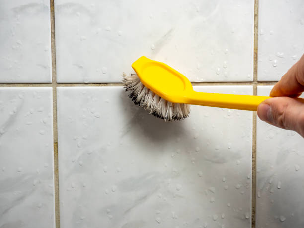 Best Insurance-Related Mold Remediation in Pantops, VA