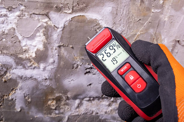 Best Health and Safety Mold Remediation in Pantops, VA