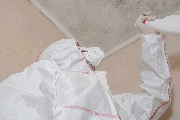 Best Post-Remediation Services in Pantops, VA