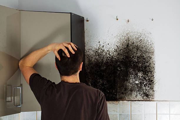 Best Bathroom Mold Remediation in Pantops, VA